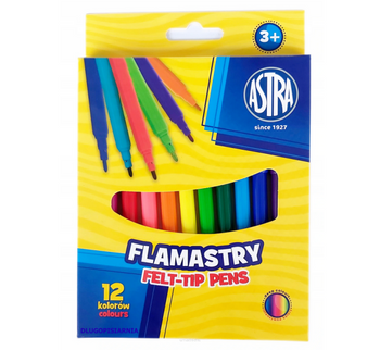 ASTRA FLAMASTRY 12KOL 107001