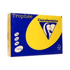 PAP.KSERO A4 160G TROPHEE 1053 SŁONECZNIKOWY