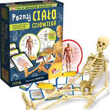 MALY GENIUSZ POZNAJ CIAŁO CZŁOWIEKA