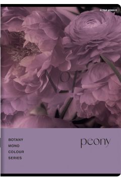 TOP ZESZYT BOTANY A5 96K 70G KRATKA 400182448