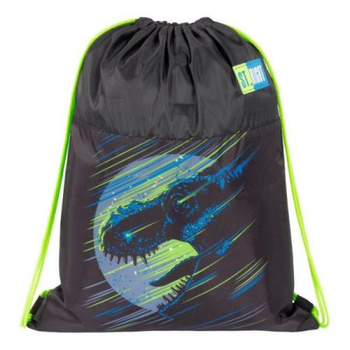 MAJ24 WOREK NA OBUWIE STRIGHT DINOSOUR 667657