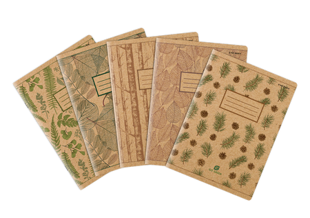 TOP ZESZYT GREEN A5 60K 70G KRATKA 400153377