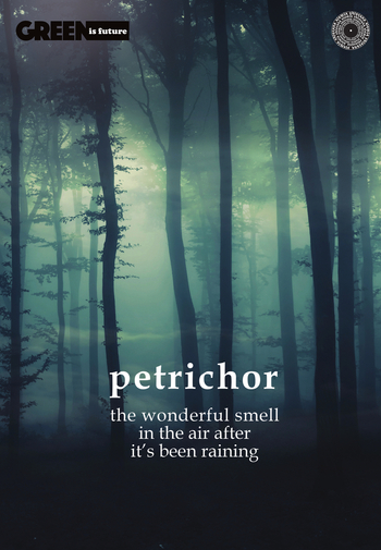 ZO GREEN TYPO WHITE BRULION 96K B5 KRATKA 049299