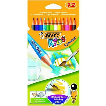 BIC KREDKI AQUACOULEUR 12KOL