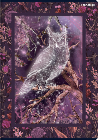 TOP ZESZYT FAIRYTALE A5 32K 70G KRATKA 400181617