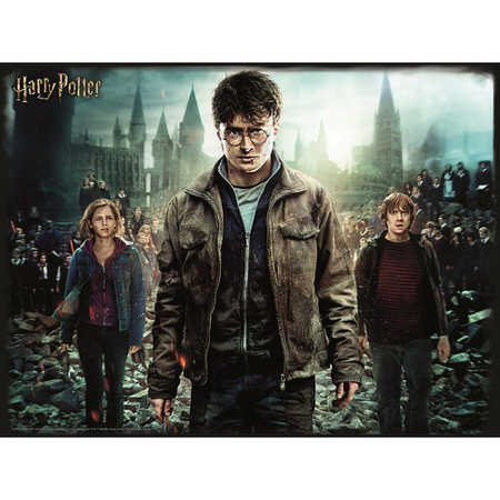 PUZZLE 300 EL Harry Potter puzzle - Złota Trójka