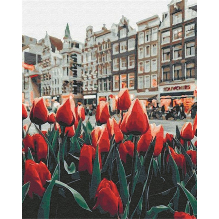 BRUSHME TULIPANY W AMSTERDAMIE GX34169