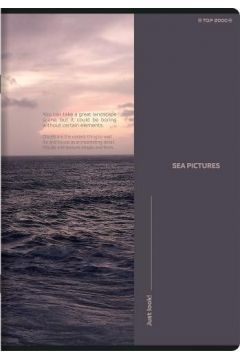 TOP ZESZYT BIRDS EYE A4 80K 70G KRATKA 400181623