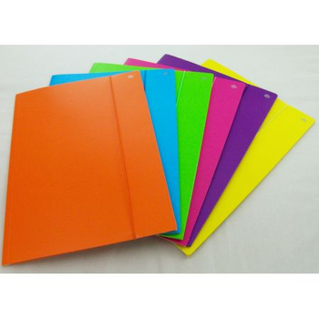 TECZKA Z GUMKĄ A4 KOLOR 10SZT INTER