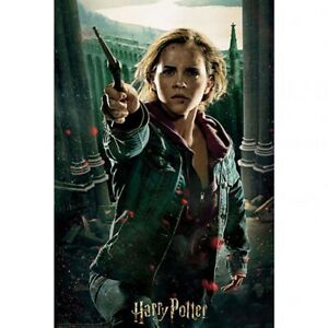 PUZZLE 300 EL Harry Potter puzzle - Pojedynek Hermiony