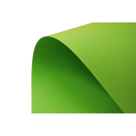 KARTON KOLOROWY OXFORD 160 G A2 66 JASNOZIELONY 400150192