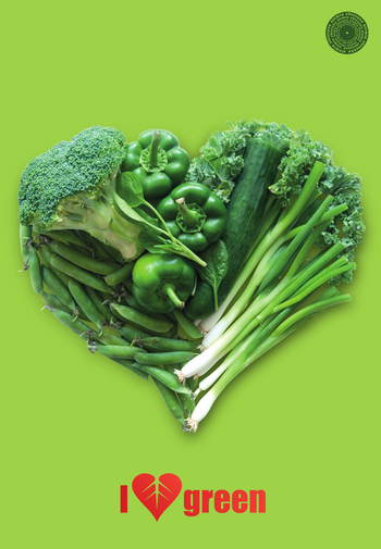 ZO THINK GREEN BRULION B5 96 K KRATKA 029321