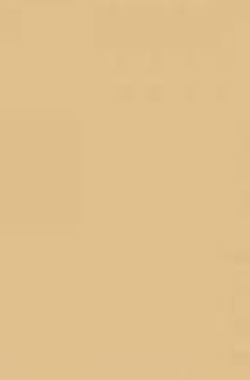 KARTON KOLOROWY JOY A4 CHAMOIS 25ARK.HA3517-45