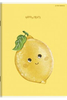 TOP ZESZYT FRUITS A5 32K KRATKA 400183790