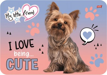 MAJ24 PODKŁAD LAMINOWANY A3 MY LITTLE FRIEND 668227