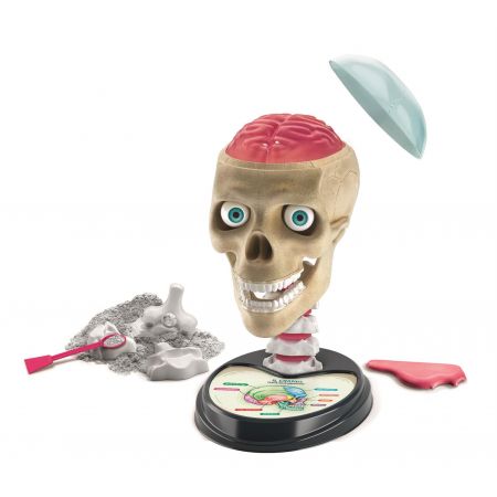 CLEMENTONI ANATOMIA 50697 ZB-131438
