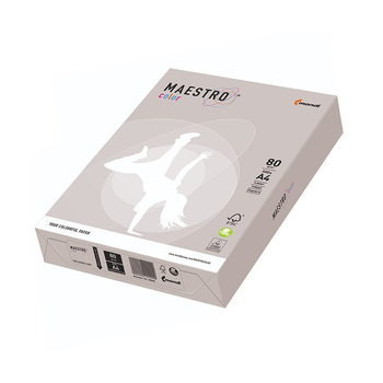 PAPIER KSERO 80G SZARY GR21