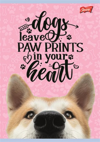 MAJ24 ZESZYT A4 32K KRATKA DZ 2 675683