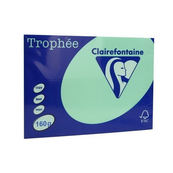 PAP.KSERO A4 160G TROPHEE 1120 ZIELEŃ NATURALNA