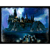 PUZZLE 500 EL Harry Potter puzzle - Hogwart nocą