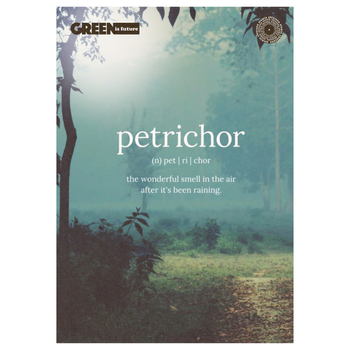 ***ZO ZESZYT GREEN MYSTERY A5 60K KRATKA KRAFT 049886