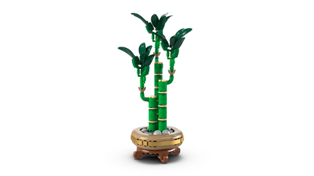 LEGO 10344 BOTANICALS Dracena sandera