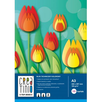 TOP CREATINIO BLOK TECH A3 10K 160G KOLOR 400079852