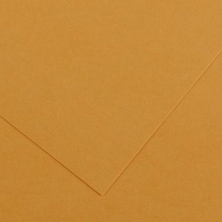 KARTON 41031 COLORLINE 1ARK BURSZTYN