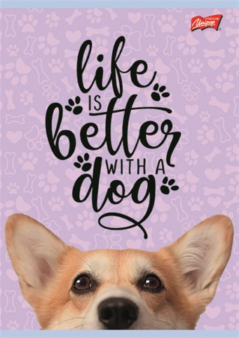 MAJ ZESZYT A5 16K LINIA PODWÓJNA KOLOROWA LAMINOWANY DOG 675331 15 SZTUK