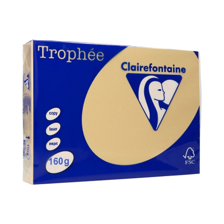 PAP.KSERO A4 160G TROPHEE 1102 CAMEL