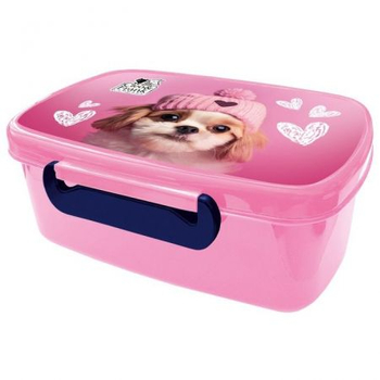 DERFORM 2024 ŚNIADANIÓWKA A CLEO I FRANK 42 (PIES) SACF42