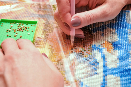 DIAMENTOWA MOZAIKA SOWA NA GAŁĘZI 40X50  PD4050065 IPICASSO