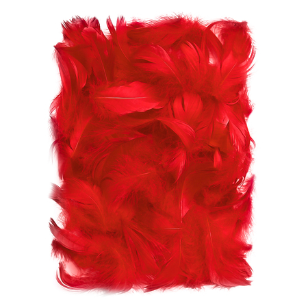 PIÓRKA 5-12CM 10G RED CEPI-015