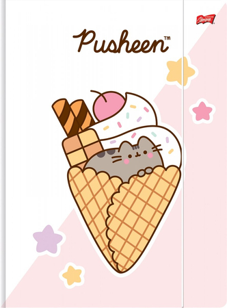 MAJ TECZKA Z GUMKĄ  A4 3000G PUSHEEN 663314