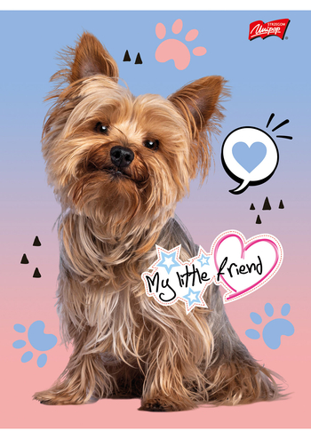 MAJ ZESZYT A5 16K KRATKA LAMINOWANY MY LITTLE FRIEND 668265