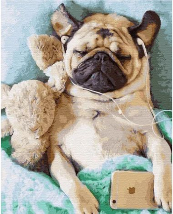 TWOJE HOBBY ŚPIĄCY MOPS GX34027