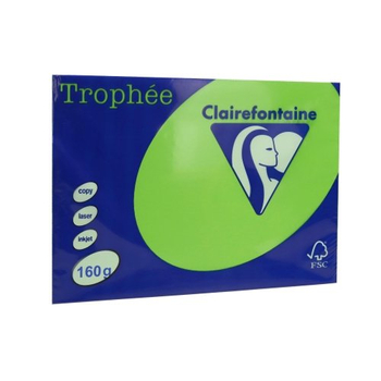 PAP.KSERO A4 160G TROPHEE 1025 MIĘTOWY