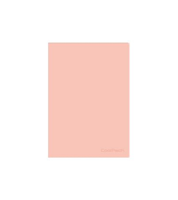 coolpack zeszyt a4 pp kratka pastel powder peach 21245cp