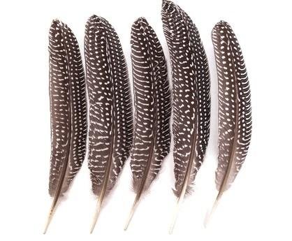 PIÓRA BAŻANTA CEPI-106