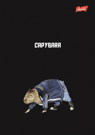 MAJ ZESZYT A5 60K LINIA LAMINOWANY CAPYBARA 675478 10SZT