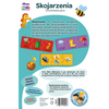 TREFL SKOJARZENIA MAŁY ODKRYWCA