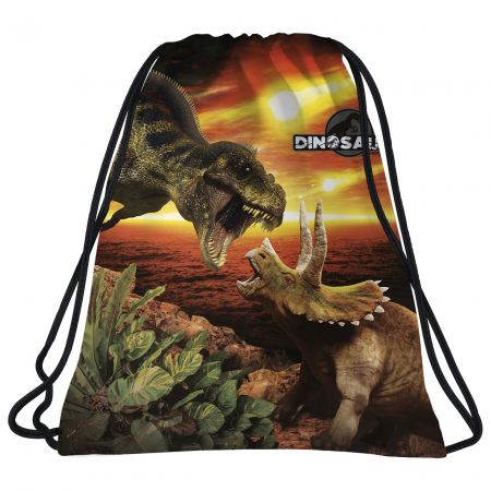DERFORM WOREK NA OBUWIE DINOZAUR 18