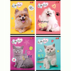 MAJ ZESZYT A5 32K KRATKA LAMINOWANY MY LITTLE FRIEND 668296