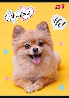 MAJ ZESZYT A5 32K KRATKA LAMINOWANY MY LITTLE FRIEND 668296