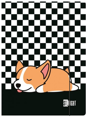 MAJ24 TECZKA Z GUMKĄ A4 300G SLEEPY CORGI 669958