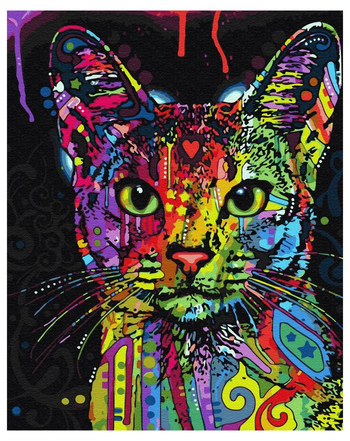 TWOJE HOBBY KOT ABISYŃSKI GX9868