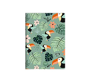 COOLPACK ZESZYT A5 PP LINIA TOUCANS 2140
