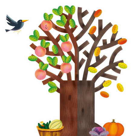 CLEMENTONI 50608 CZTERY PORY ROKU