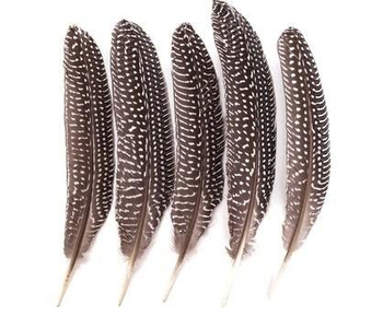 PIÓRA BAŻANTA CEPI-106