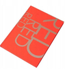 BRULION FLUO A5 96K KRATKA